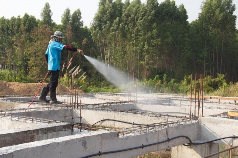 รับกำจัดปลวกพุทธมณฑล